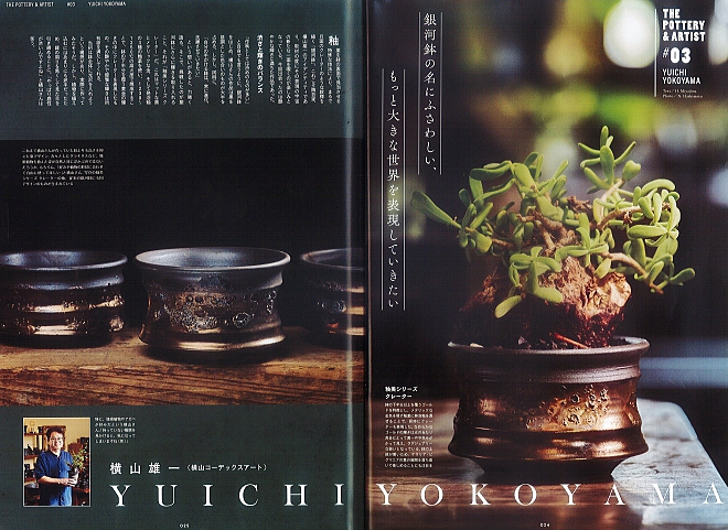 植木鉢　塊根植物　陶器鉢　鉢　作家　横山雄一　宇宙　銀河　インドアジャングル　コーデックス　アガベ　益子　益子焼