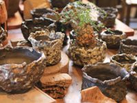 鬼溶岩流鉢　植木鉢　鉢　作家鉢　ヨコヤマ　横山　横山雄一　益子　益子焼　コーデックス　プランツ　ヨコヤマコーデックス