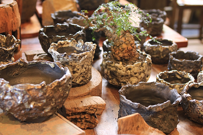 鬼溶岩流鉢　植木鉢　鉢　作家鉢　ヨコヤマ　横山　横山雄一　益子　益子焼　コーデックス　プランツ　ヨコヤマコーデックス