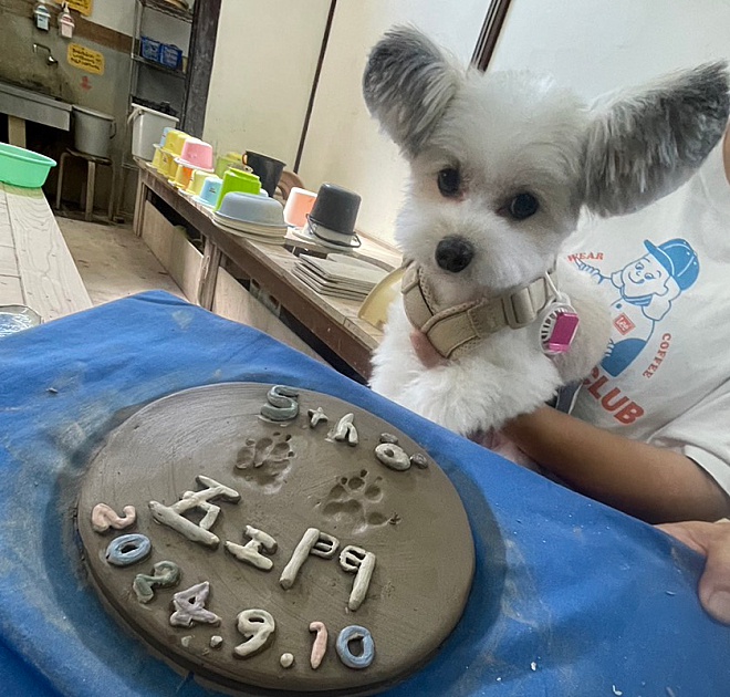 わんちゃん　わんちゃんとお出かけ　犬観光　陶芸体験　体験　愛犬とドライブ　ドッグ