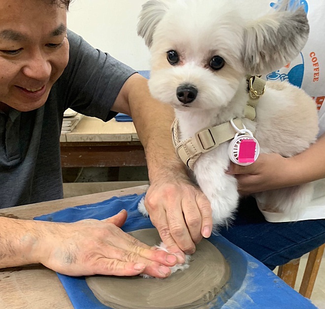 わんちゃん　わんちゃんとお出かけ　犬観光　陶芸体験　体験　愛犬とドライブ　ドッグ