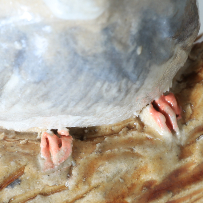 文鳥 小鳥 置物 陶器 オーダーメイド