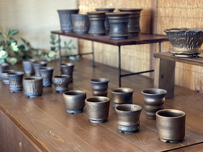 YOKOYAMA CAUDEX ART益子本店 ～塊根植物 アガベ鉢専門店～ | 益子焼 ...