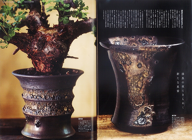 植木鉢　塊根植物　陶器鉢　鉢　作家　横山雄一　宇宙　銀河　インドアジャングル　コーデックス　アガベ　益子　益子焼