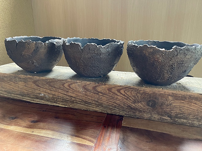 塊根植物　鉢　陶器鉢　作家鉢　