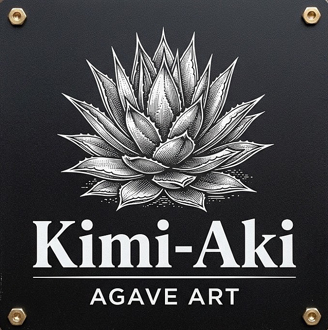 陶アガベ Kimi-Aki 作家作品 Agave アガベ 陶器