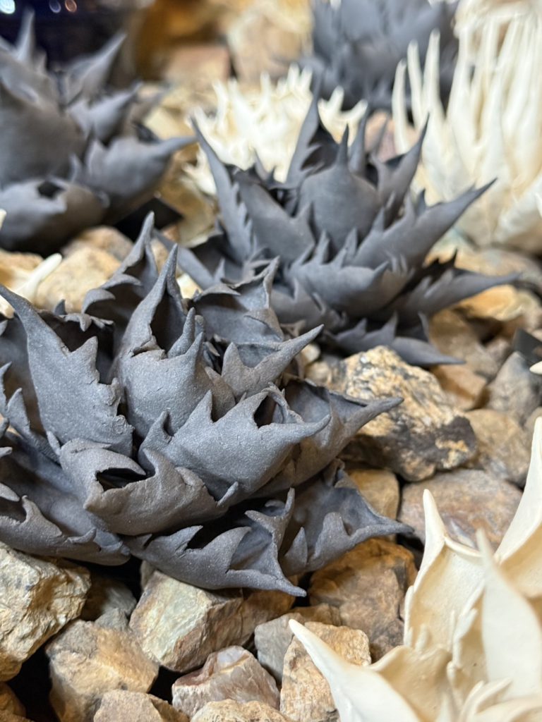 陶アガベ Kimi-Aki 作家作品 Agave アガベ 陶器
