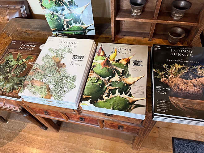 インドアジャングル　販売　バックナンバー　塊根植物　本　コーデックス　アガベ