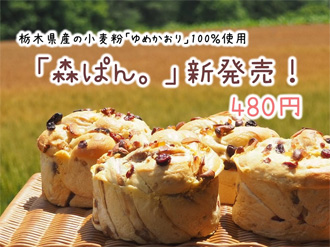 森ぱん　ふわふわパン　益子パン