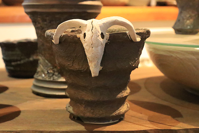 益子焼 植木鉢 陶器鉢 鉢 コーデックス アガベ 塊根植物 作家鉢