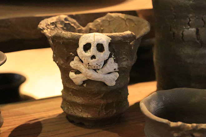 益子焼 植木鉢 陶器鉢 鉢 コーデックス アガベ 塊根植物 作家鉢