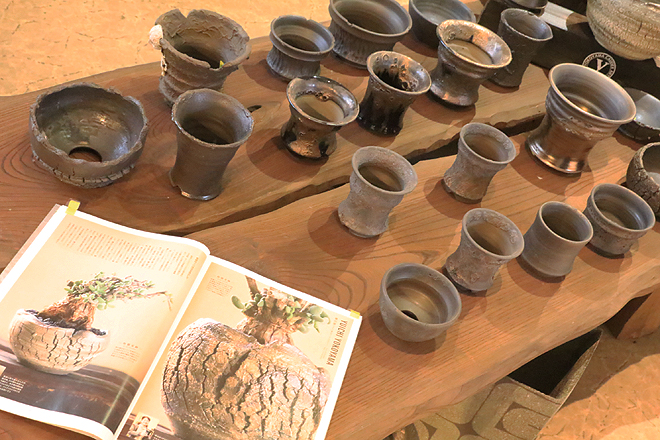 益子焼 植木鉢 陶器鉢 鉢 コーデックス アガベ 塊根植物 作家鉢