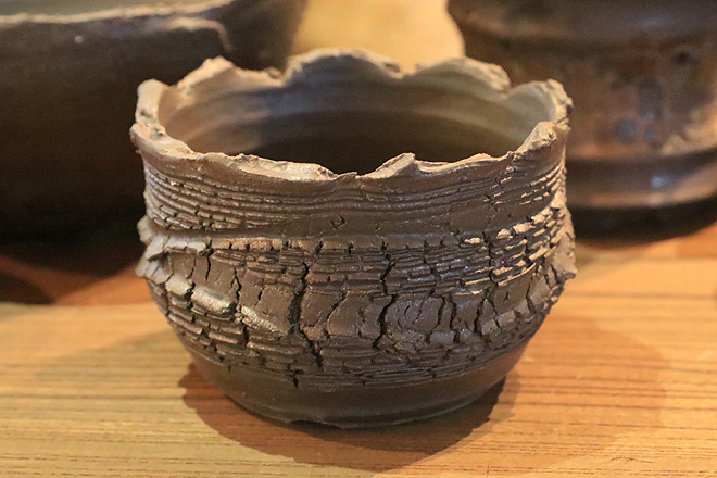 益子焼 植木鉢 陶器鉢 鉢 コーデックス アガベ 塊根植物 作家鉢