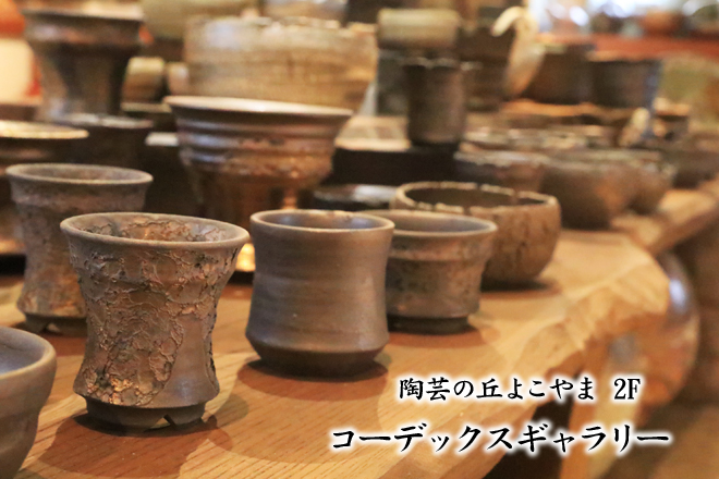 益子焼 植木鉢 陶器鉢 鉢 コーデックス アガベ 塊根植物 作家鉢