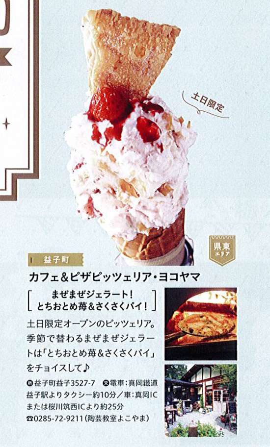栃木県観光PRパンフレット