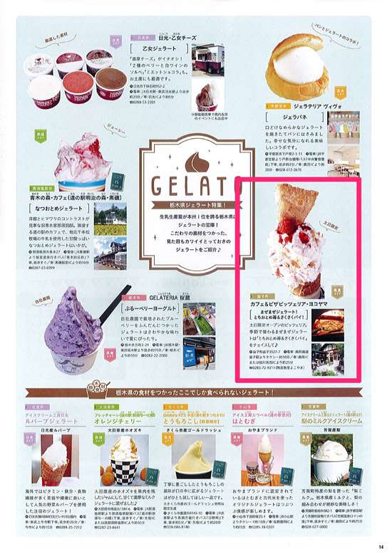 栃木県観光PRパンフレット