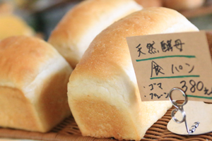 森ぱん